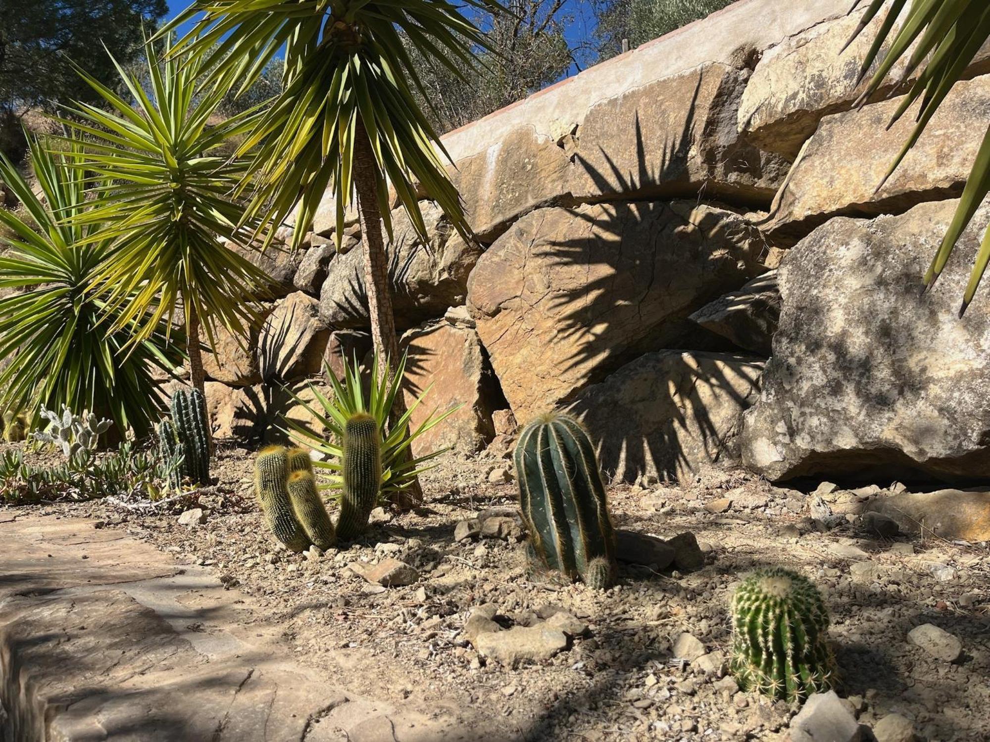 Finca El Sueno Andaluz Villanueva de la Concepción Kültér fotó